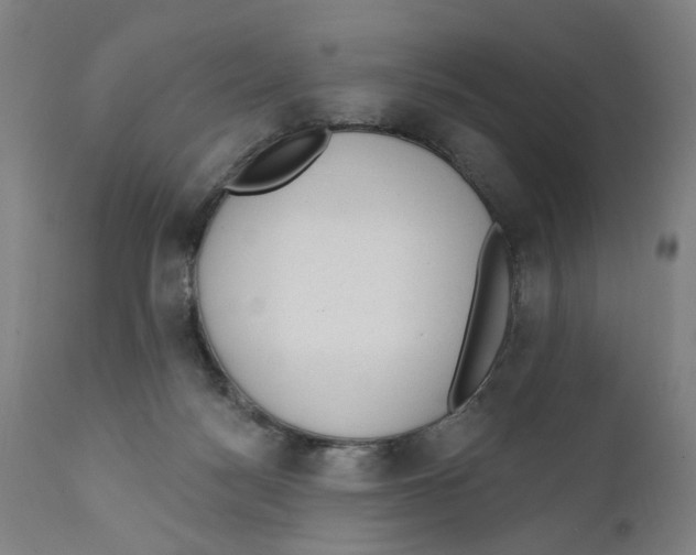 X0000111130172200907211123