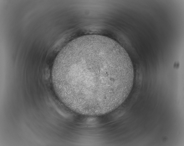 X0000111130173200907211123