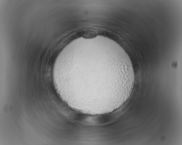X0000111130178200907211123
