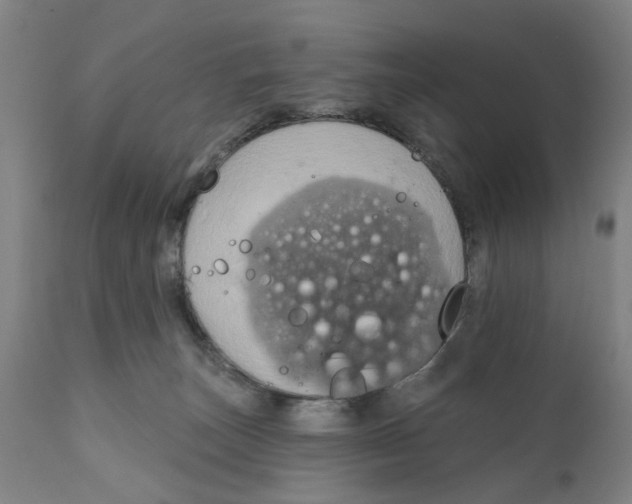 X0000111130179200907211123