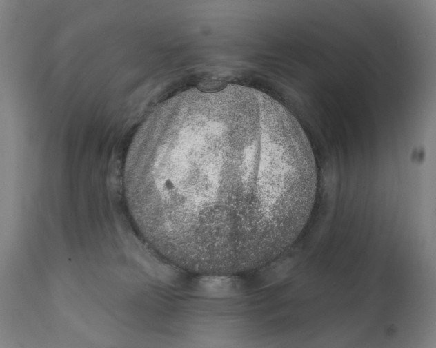 X0000111130181200907211123