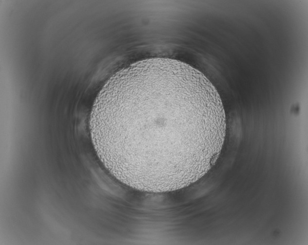X0000111130185200907211123