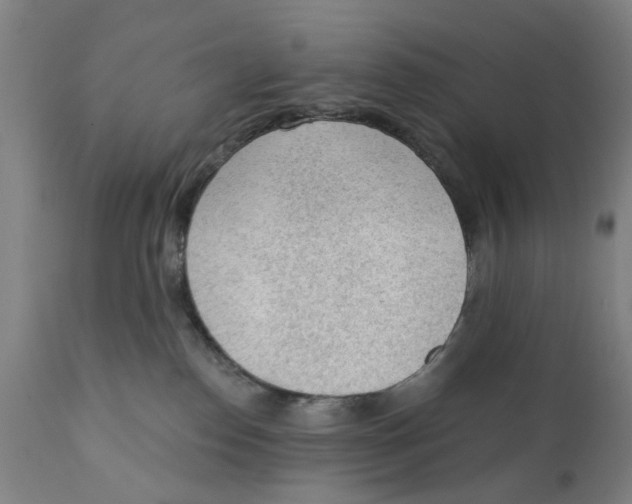 X0000111130186200907211123