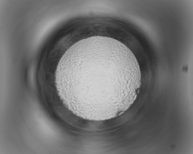 X0000111130189200907211123