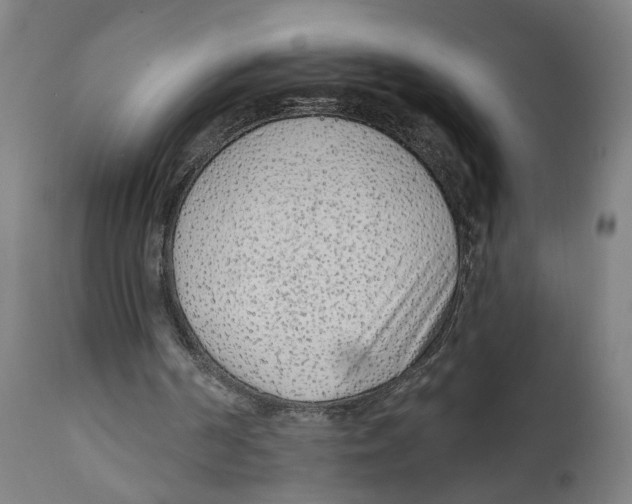 X0000111130194200907211122