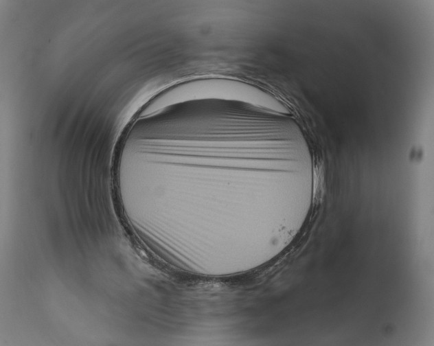 X0000111130195200907211122