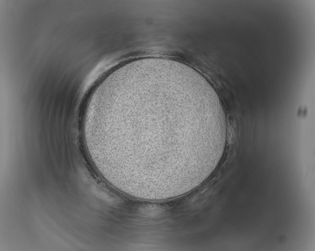X0000111130198200907211122
