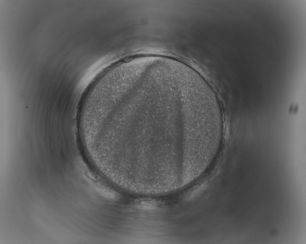X0000111130199200907211122