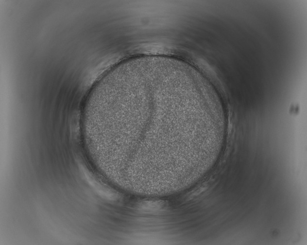 X0000111130202200907211122