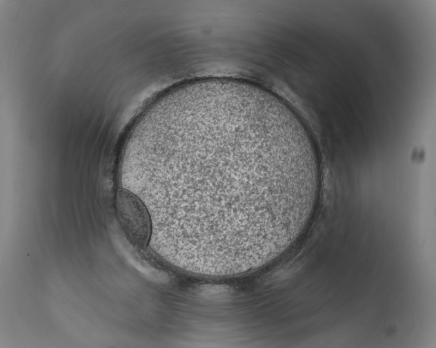X0000111130203200907211122