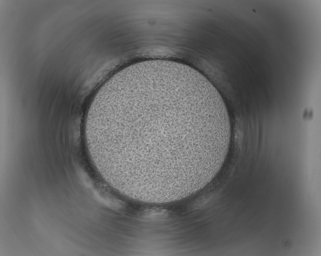 X0000111130206200907211122