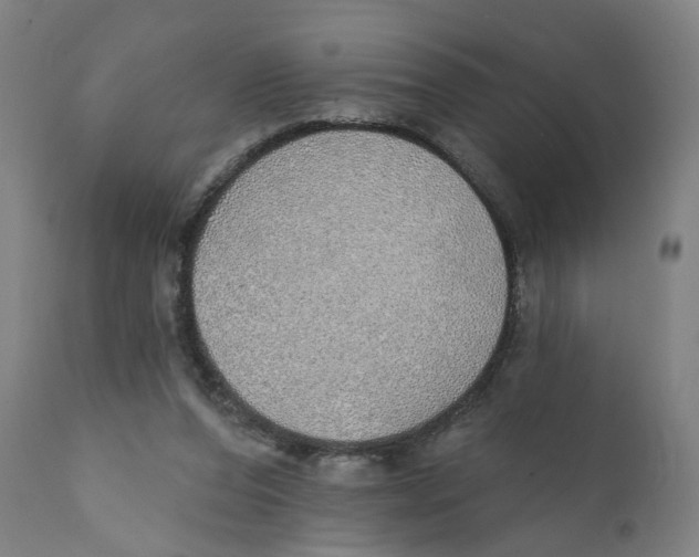 X0000111130208200907211122