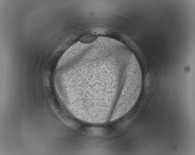 X0000111130209200907211122