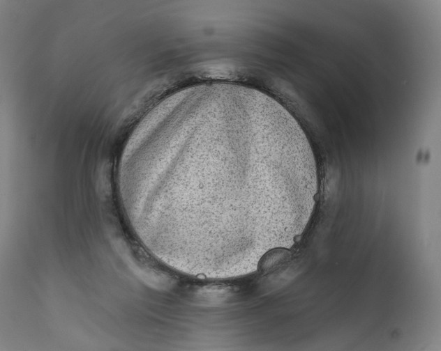 X0000111130213200907211122