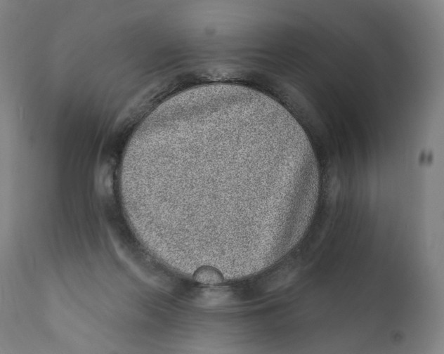 X0000111130214200907211122