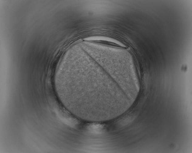 X0000111130217200907211122