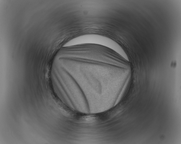 X0000111130219200907211122