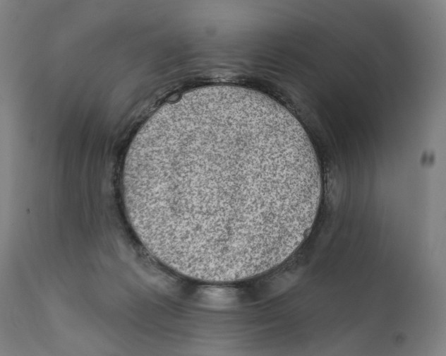 X0000111130221200907211122