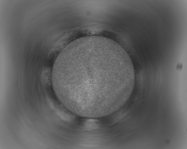X0000111130222200907211122