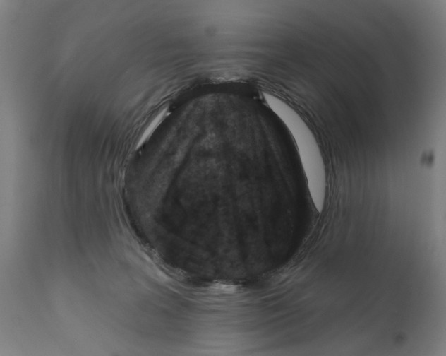 X0000111130227200907211122