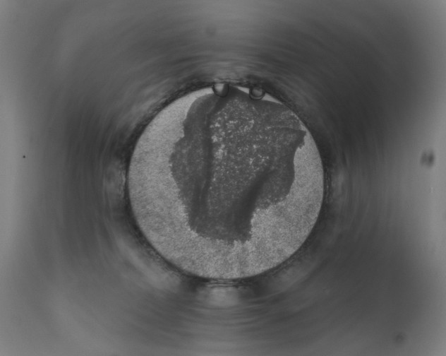 X0000111130228200907211122