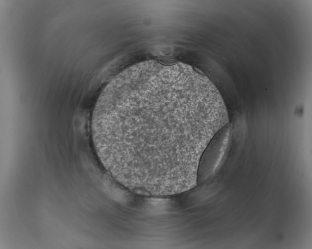 X0000111130233200907211122