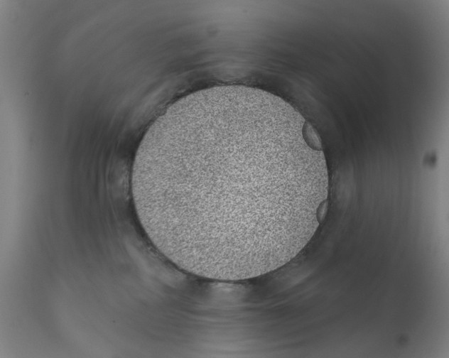 X0000111130234200907211122