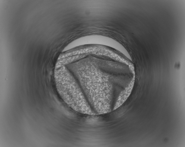 X0000111130235200907211122