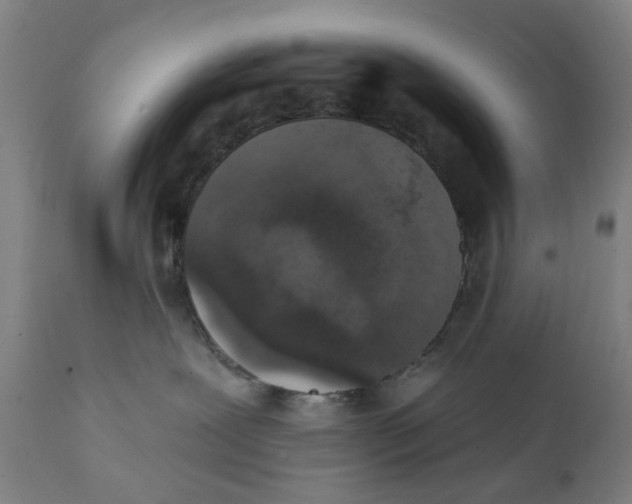 X0000111130239200907211122