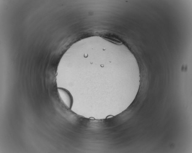 X0000111130240200907211122