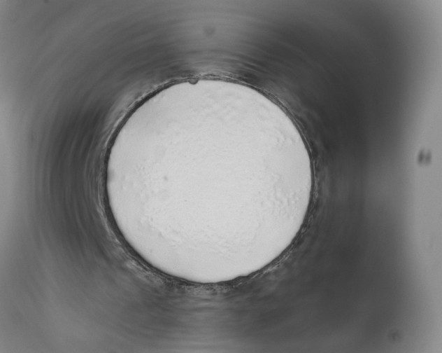 X0000111130241200907211121