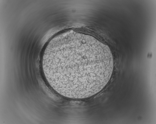 X0000111130242200907211121