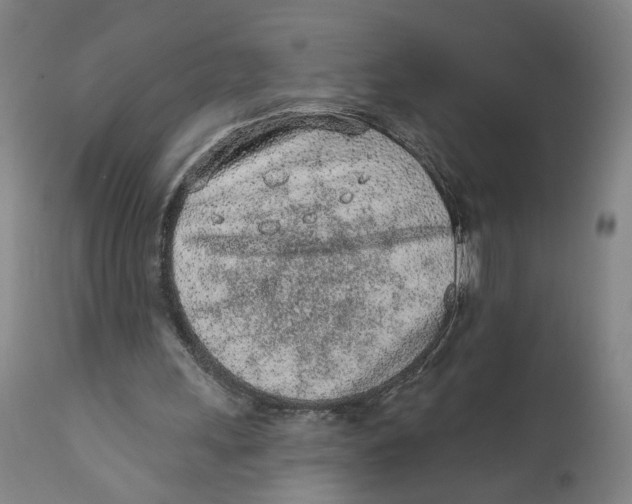 X0000111130243200907211121