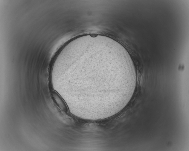 X0000111130244200907211121