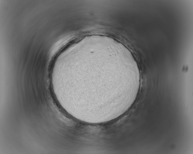 X0000111130245200907211121