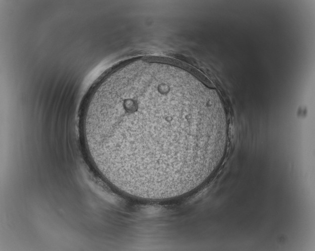 X0000111130246200907211121
