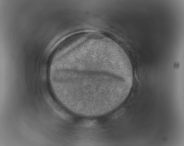 X0000111130247200907211121