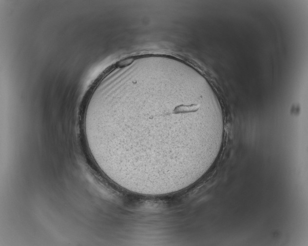 X0000111130248200907211121
