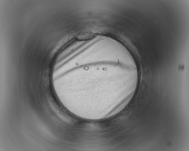 X0000111130250200907211121