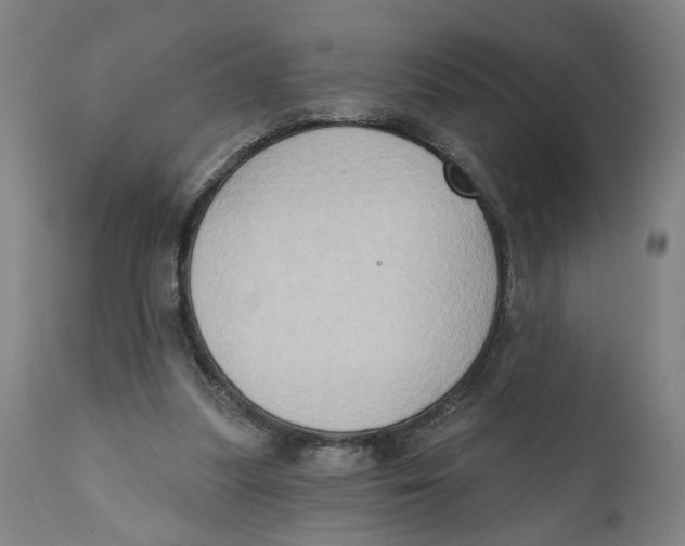 X0000111130251200907211121