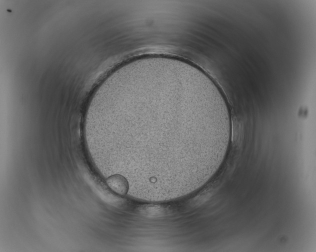 X0000111130253200907211121