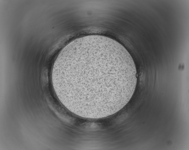 X0000111130254200907211121