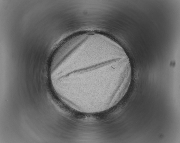 X0000111130256200907211121
