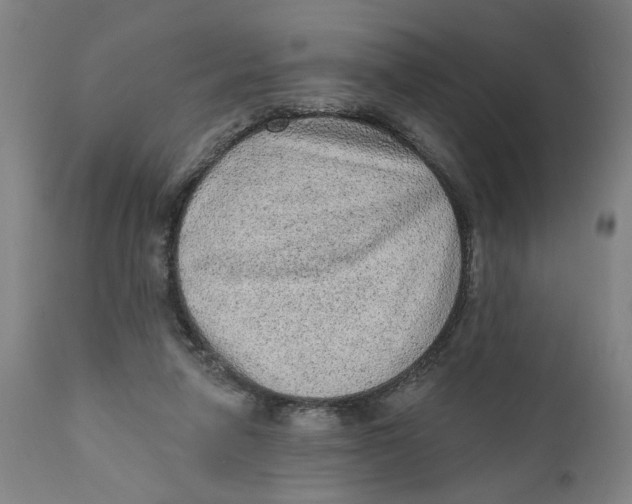 X0000111130258200907211121