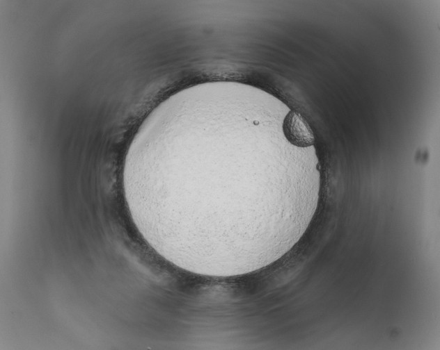 X0000111130259200907211121