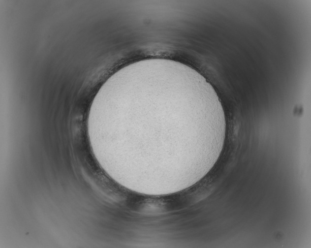 X0000111130263200907211121