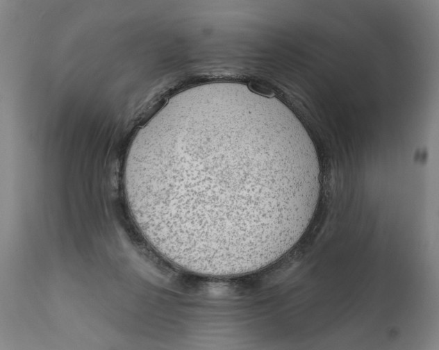 X0000111130264200907211121