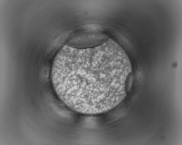X0000111130268200907211121