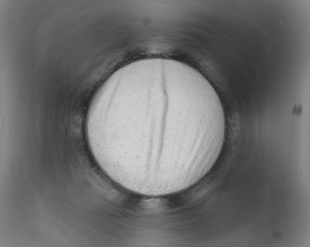 X0000111130269200907211121