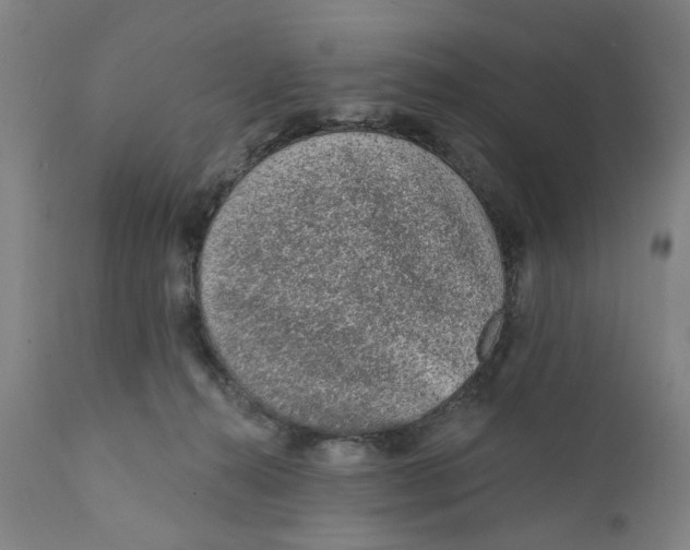 X0000111130272200907211121